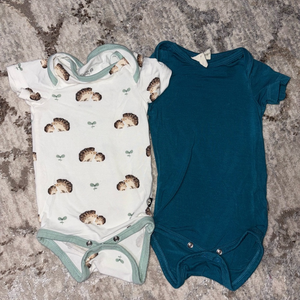 Kyte BABY bodysuits (baby list exclusive hedgehog print and teal)